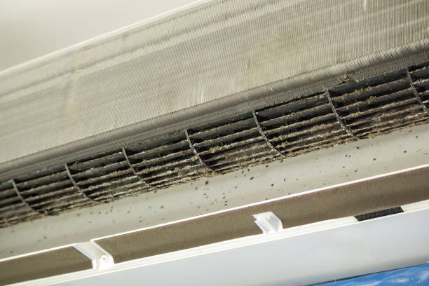 Best Air Duct Mold Removal  in Crockett, CA